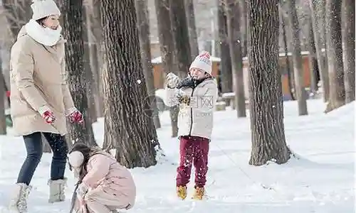打雪仗的阵容插图