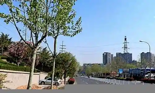 滨海市阵容插图