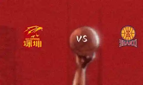 深圳的阵容插图