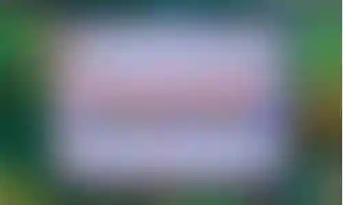 梦幻西游五庄孩子送宝图在那里插图
