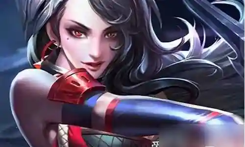 王者荣耀阿轲阵容插图