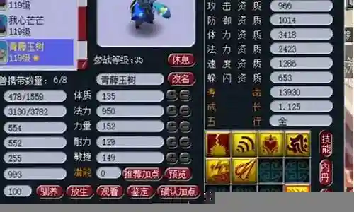 梦幻西游法宠隐身插图