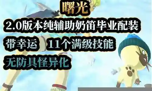 86版本纯辅助奶爸装备选择插图