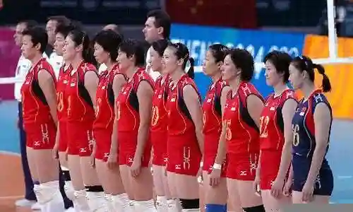 2004女排阵容插图