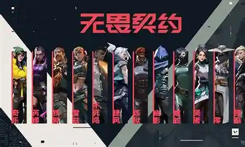 职业玩家无畏搭配什么阵容插图