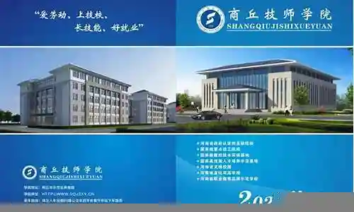 3.13学什么商业技能插图