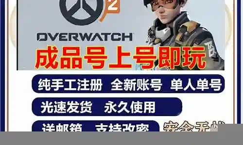 守望先锋的竞技阵容插图