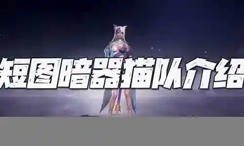 核爆猫队最新搭配阵容插图