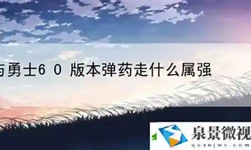 60版本弹药用什么武器最好插图