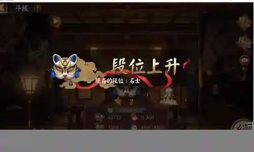 斗技新手阵容插图
