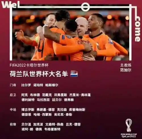 荷兰后防阵容插图1