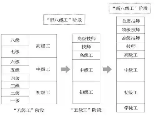 8本科技能升到几级插图