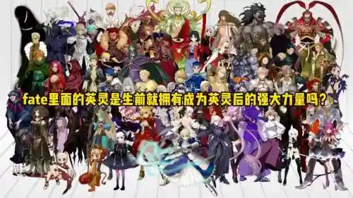 fate神族阵容插图