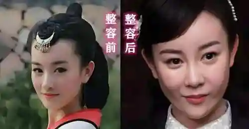 掌萌阵容插图