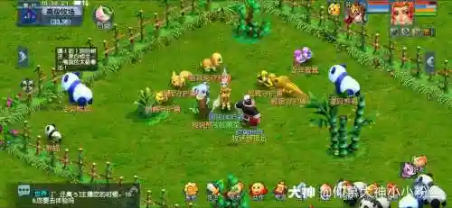 梦幻西游牧场孔雀鹦鹉插图1