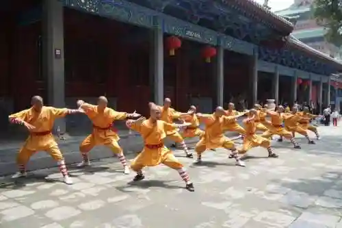休闲武林阵容插图1