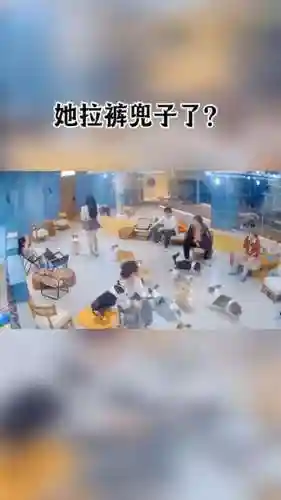 拉裤兜阵容插图