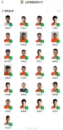 现役鲁能青训最佳阵容阵容插图1