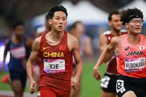 跨栏阵容插图