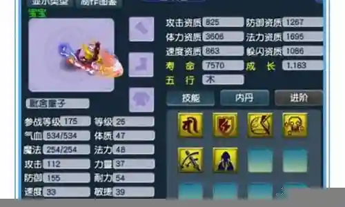 梦幻西游毗舍童子资质插图