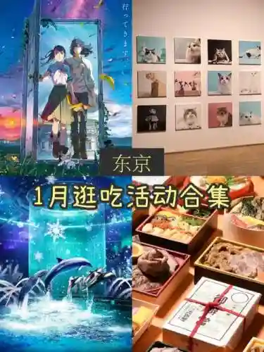 美食祭阵容插图1