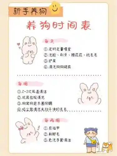 萌宠新时间教学攻略插图1