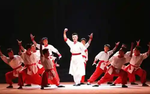 南拳阵容插图