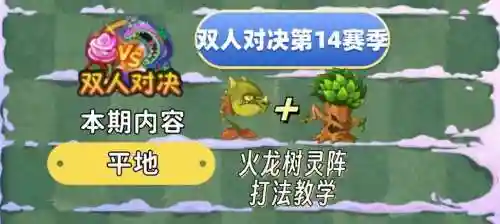 火龙草阵容插图