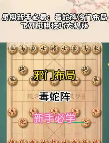下棋剧毒阵容插图