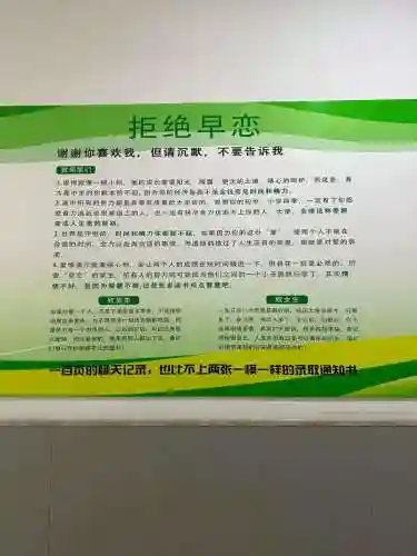 早恋是不被允许攻略插图