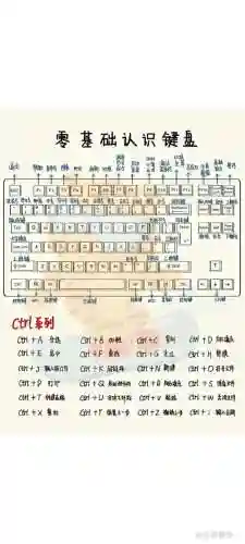 13键盘阵容_1插图