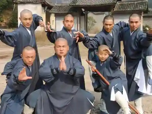 小僧阵容搭配插图1