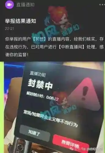 梦幻西游被别人举报他们核查吗插图1