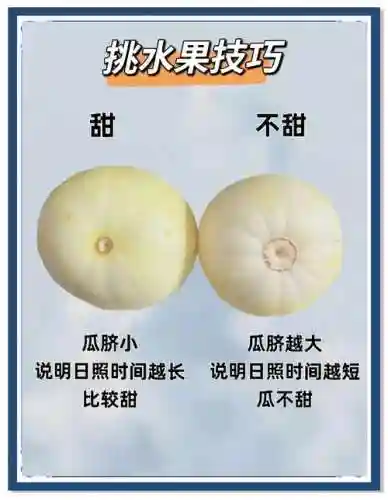 甜瓜技能选择插图