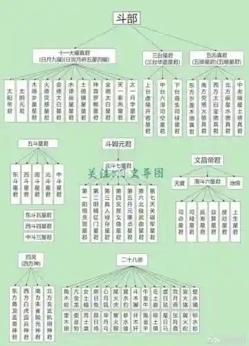 神仙医护阵容_1插图1