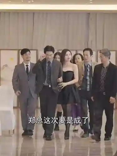 财阀老婆阵容插图1