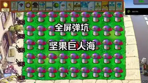 坚果海阵容插图