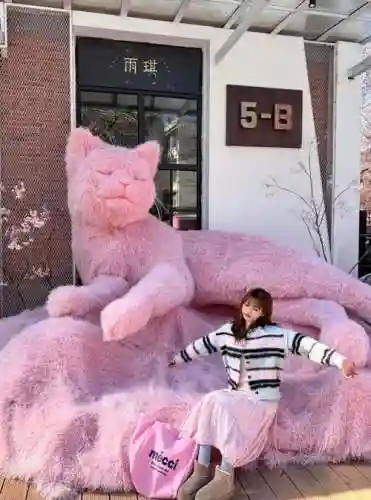 粉色猫咪阵容搭配插图1