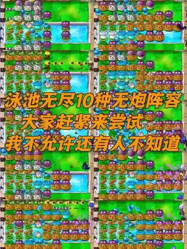 放炮仗阵容插图
