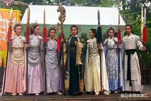 十二寡妇阵容插图