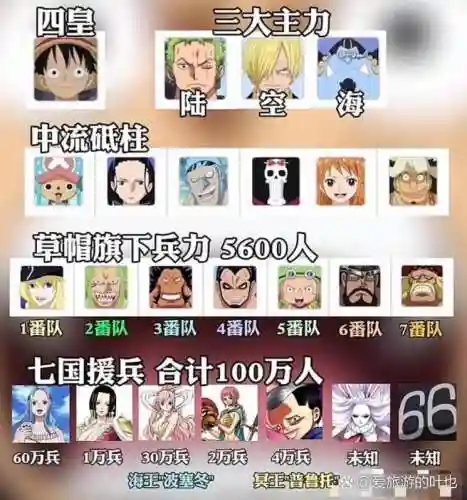 海盗狂野阵容插图1