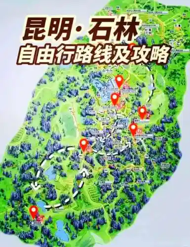 石林阵容搭配详解插图