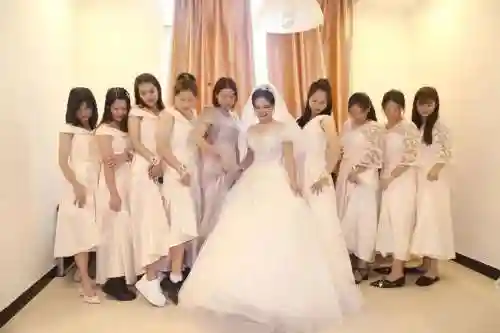 接新娘阵容插图