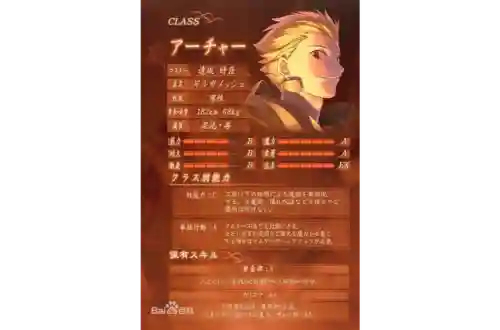 fatelancer职阶技能插图1