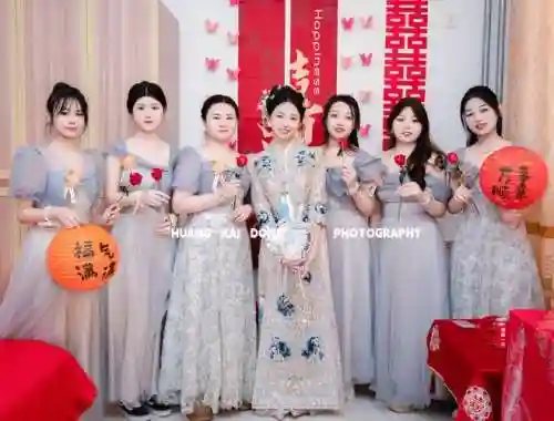 接新娘阵容插图1
