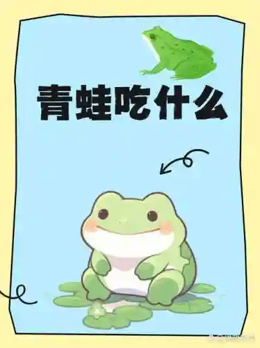 旅游青蛙攻略蜜蜂喜欢吃什么插图1