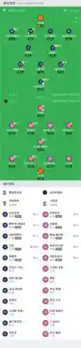老虎阵容双边插图