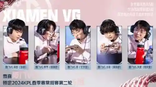 vg队员阵容插图1