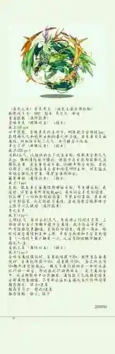 洛克王国草技能插图