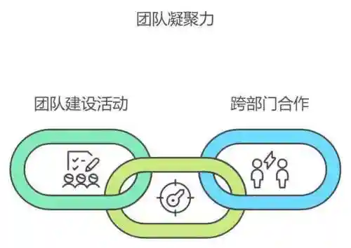 协作体阵容插图1
